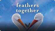 Feathers Together