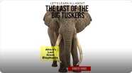 Let’s Learn All About - The Last of the Big Tuskers - Africa’s Last Great Elephants