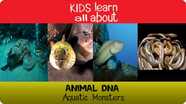 Animal DNA - Aquatic Monsters