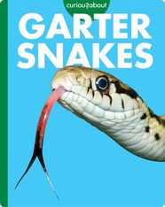 Curious about Garter Snakes