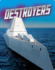Destroyers
