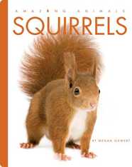 Squirrels