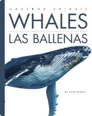 Whales / Las ballenas