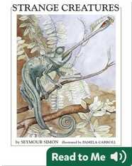Strange Creatures