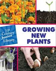 Growing New Plants