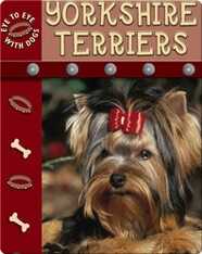Eye To Eye With Dogs: Yorkshire Terriers