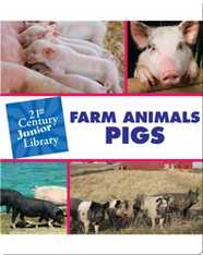 Farm Animals: Pigs