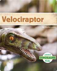Velociraptor