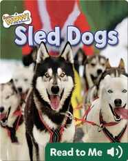 Sled Dogs