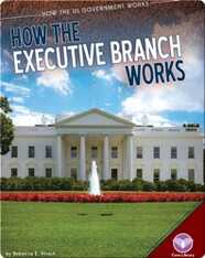 How the Executive Branch Works (How the US Goverment Works)