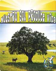 Nuestro Sol Produce Vida (Our Sun Brings Life)
