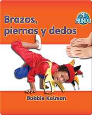 Brazos, piernas y dedos