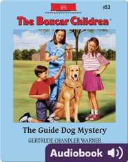 The Guide Dog Mystery