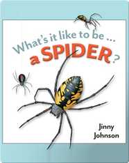 What's It Like To Be A Spider?