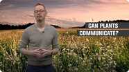 Can Plants Communicate?