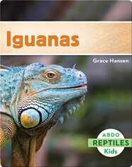 Iguanas