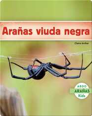 Arañas viuda negra