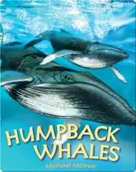 Humpback Whales book