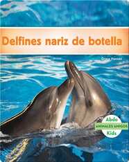Delfines nariz de botella