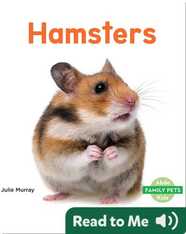 Hamsters