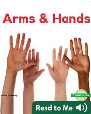 Arms & Hands