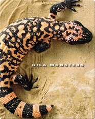 Gila Monsters