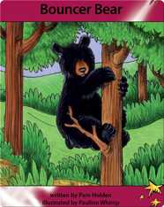Bouncer Bear