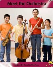 Meet the Orchestra