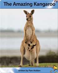 The Amazing Kangaroo