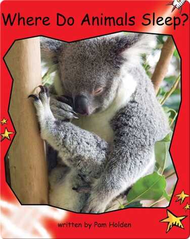 Where Do Animals Sleep? book
