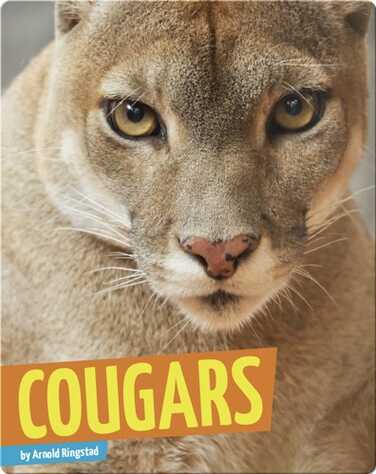 Cougars book