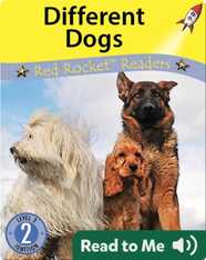 Different Dogs