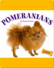Pomeranians