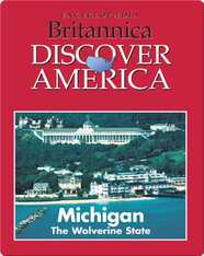 Michigan: The Wolverine State