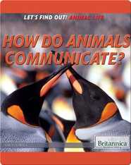 How Do Animals Communicate?