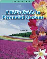 A Kid's Guide to Perennial Gardens