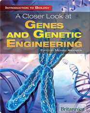 A Closer Look at Genes and Genetic Engineering