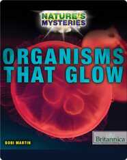 Organisms That Glow