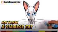 How to Draw a Siamese Cat