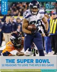 The Super Bowl 12 Reasons To Love The NFL's Big Game