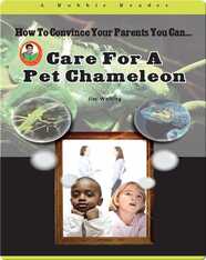Care for a Pet Chameleon
