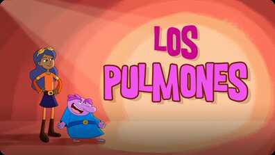 Los pulmones y el aparato respiratorio book