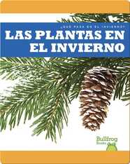 Las Plantas en el Invierno (¿Qué Pasa en el Invierno?)