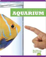 First Field Trips: Aquarium