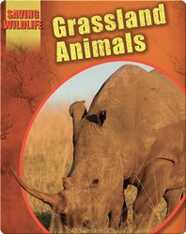 Grassland Animals