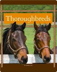 Thoroughbreds