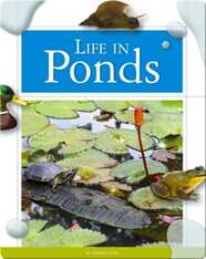 Life in Ponds