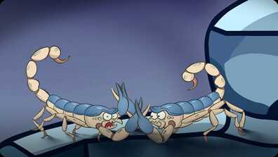 I'm a Scorpion book