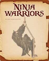 Ninja Warriors