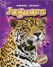 Jaguars